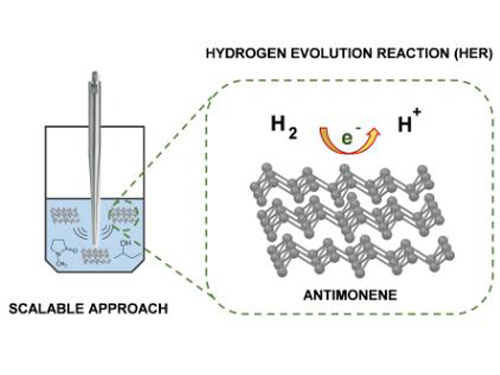 Desarrollado un método para la producción industrial de antimoneno...